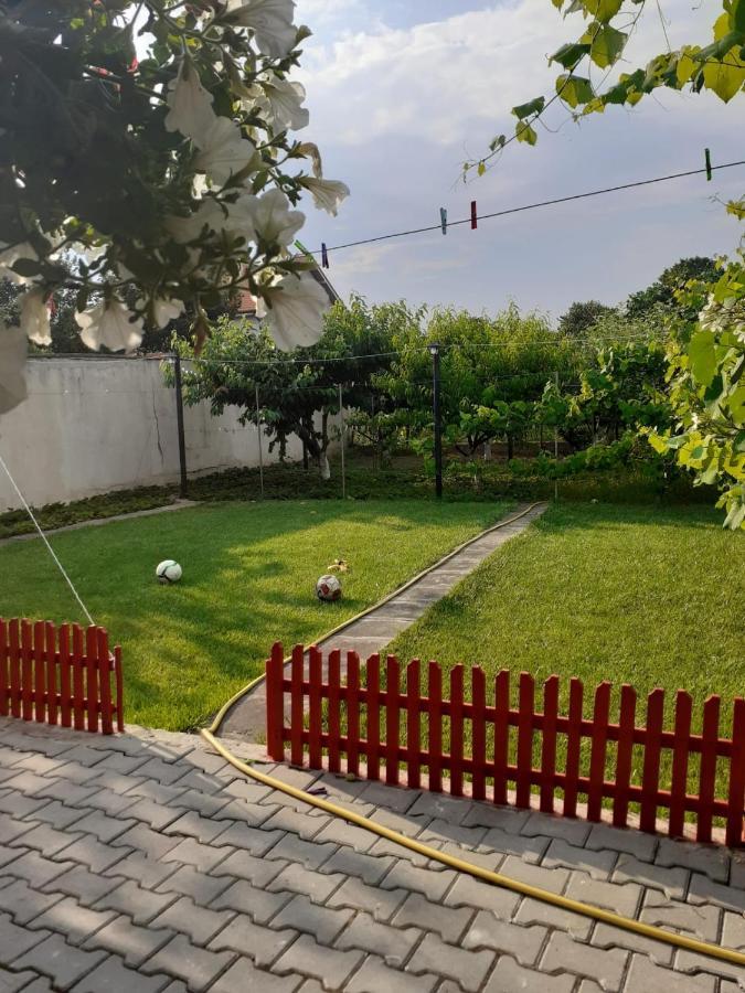 Апартаменты Garsoniera Stefi Эфорие-Суд Экстерьер фото